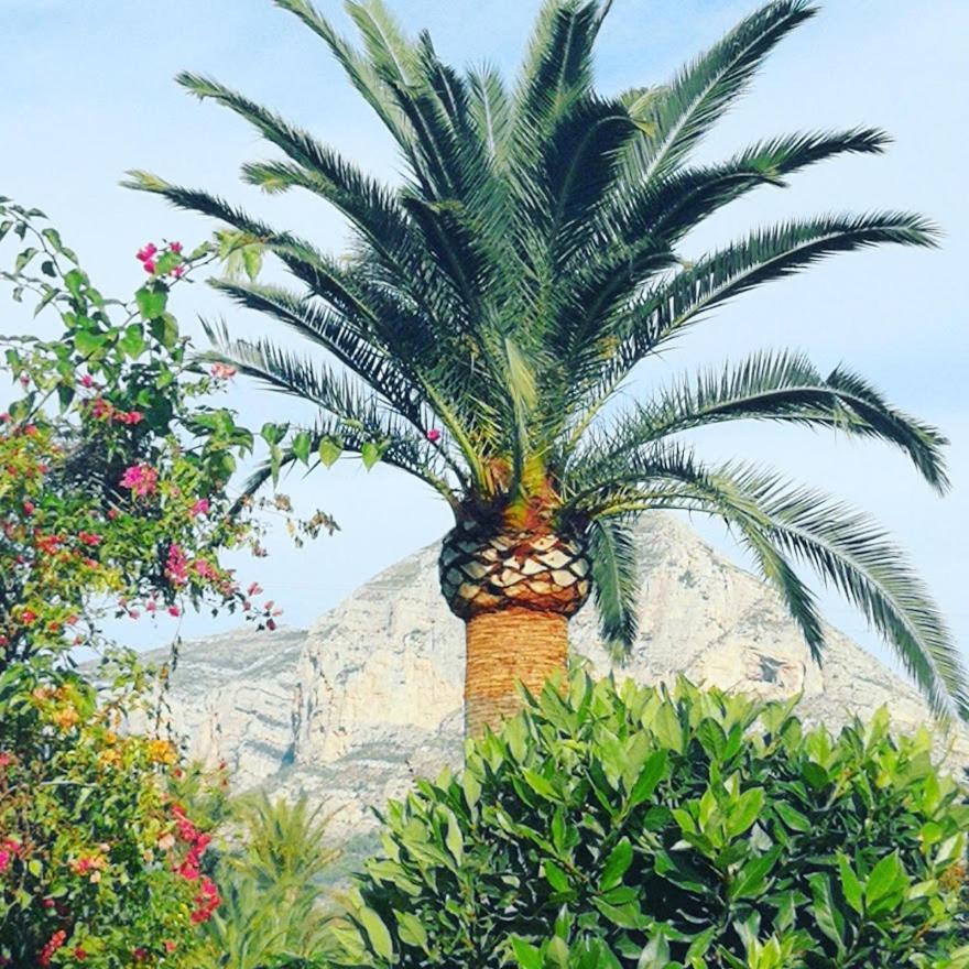 Apartment Paca Jávea Buitenkant foto